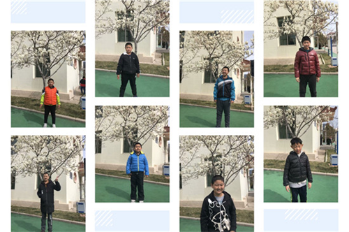 图片36.png 图片36.png