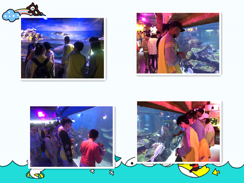 IMG_6374_副本.jpg IMG_6374_副本.jpg
