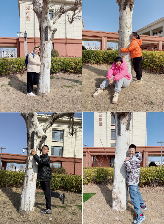 拥抱大树.png