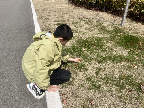 bf2c05d9f13c42cdcaa78d16bfc18da3_副本.jpg