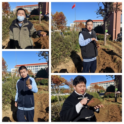 IMG_20251103_091505.jpg IMG_20251103_091505.jpg