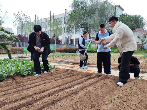 IMG_20260518_153639_副本.jpg